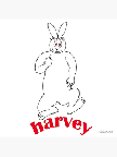 Harveys Avatar